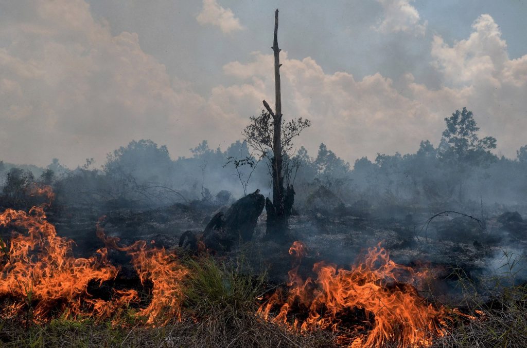 Burned down Smoke rises up from a peatland fire in Pekanbaru, Riau, on